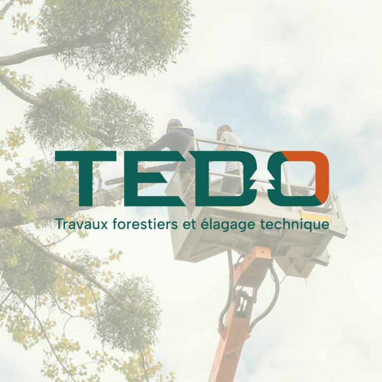 TEDO